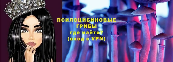 винт Арсеньев