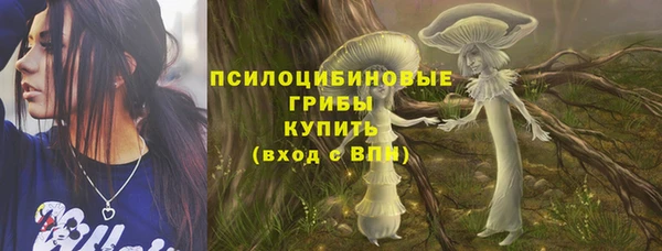 винт Арсеньев