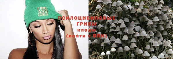 винт Арсеньев