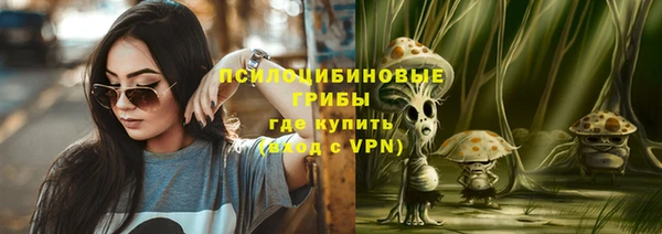 трава Медногорск