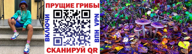 Галлюциногенные грибы прущие грибы hydra вход Волгодонск