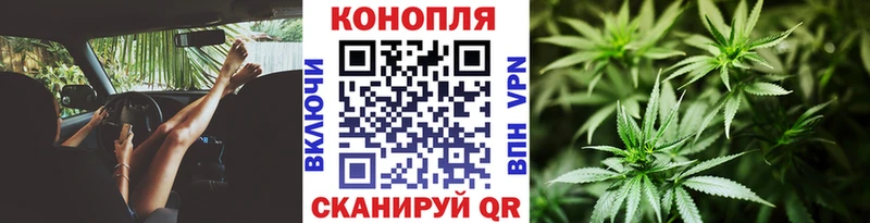 Бошки марихуана OG Kush  Волгодонск 